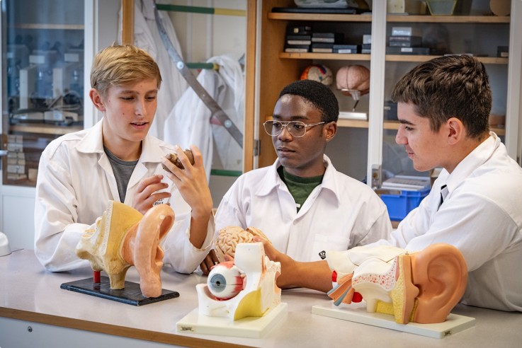 Tre personer i vita labbrockar studerar anatomiska modeller av öra, öga och hjärna i ett klassrumslabb.