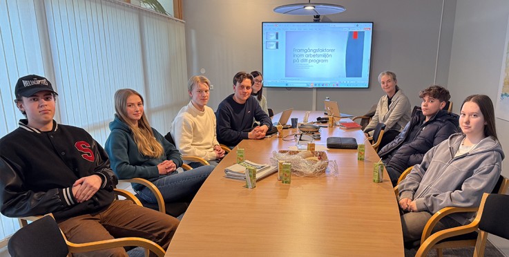Sju personer sitter runt ett konferensbord i ett mötesrum med en presentation på en skärm.